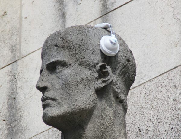 frei pixabay Kranich 17